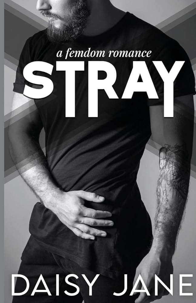 Stray cover image