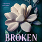 Broken Rival: A Novel – A Gripping Time Travel Romance Where She's Hunted by One Brother and Loved by the Other cover image