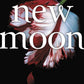 New Moon (The Twilight Saga) cover image