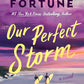 Our Perfect Storm cover image