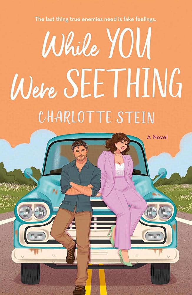 While You Were Seething: A Novel cover image