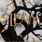Gleam (The Plated Prisoner, 3) cover image