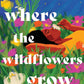 Where the Wildflowers Grow: A Novel cover image