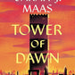 Tower of Dawn (Throne of Glass, 6) cover image