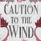 Caution to the Wind SE IS: An Age Gap MC Romance (Fallen Men) cover image