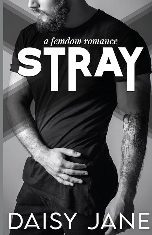 Stray cover image