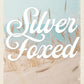 Silver Foxed: (Discreet Cover Edition) cover image
