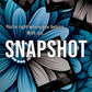 Snapshot (Lessons in Love) cover image