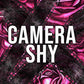 Camera Shy (Lessons in Love) cover image