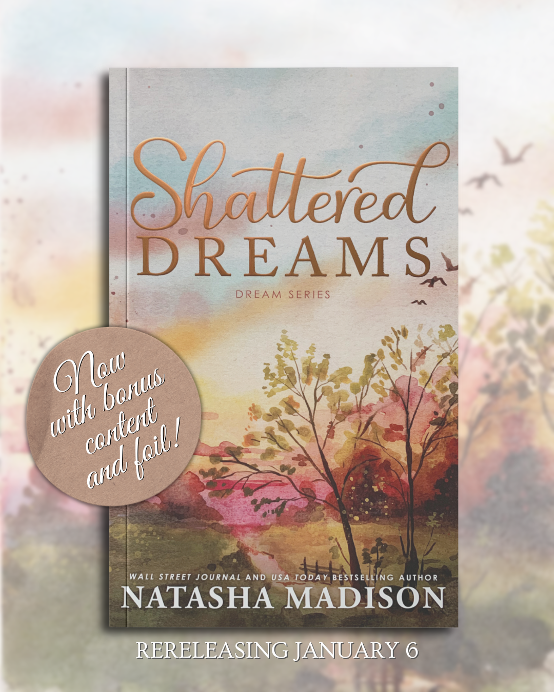Shattered Dreams by Natasha Madison