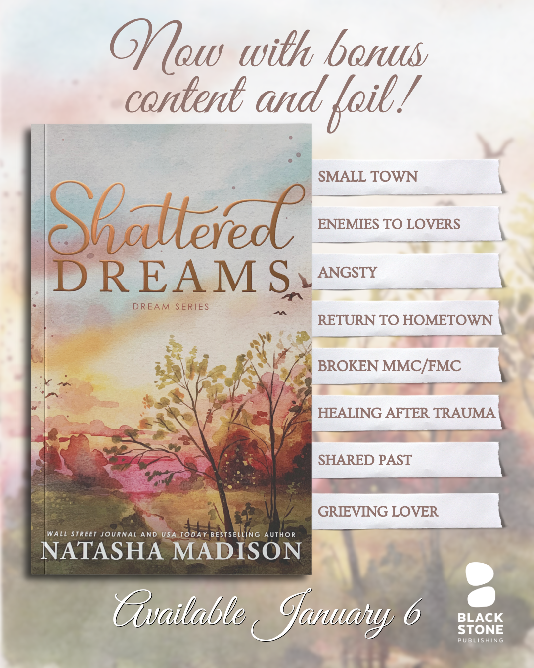 Shattered Dreams by Natasha Madison